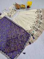 Festival Lehenga Choli 👗💌